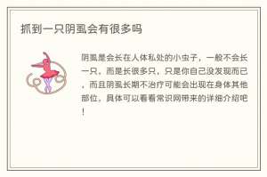 抓到一只阴虱会有很多吗