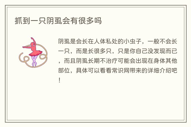 抓到一只阴虱会有很多吗